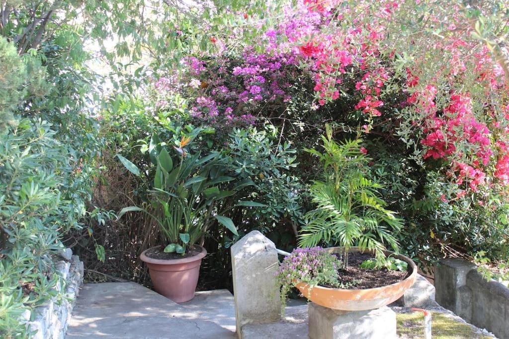 Apartamento Casa Letizia Taormina Exterior foto